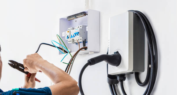 Best Electric Panel Repair  in Paonia, CO