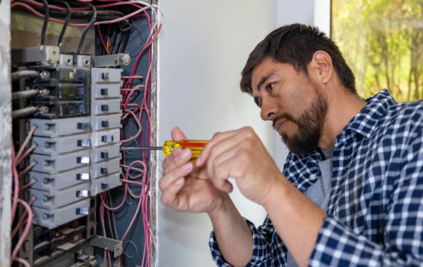 Best Electrical Repair Services  in Paonia, CO